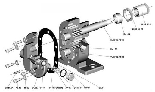 齒輪油泵分解圖